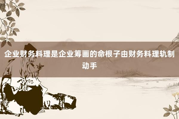 企业财务料理是企业筹画的命根子由财务料理轨制动手